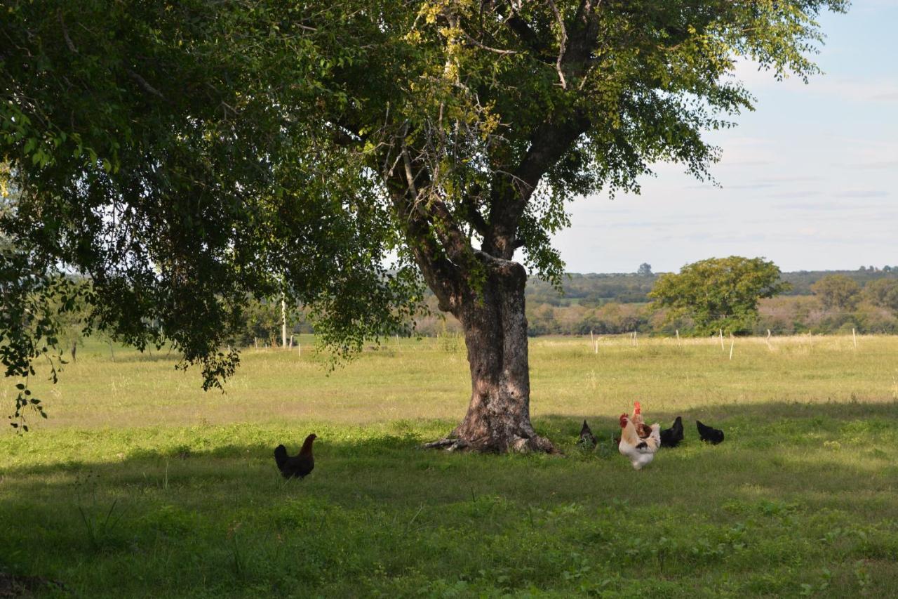 Estancia El Cangue Porvenir ภายนอก รูปภาพ