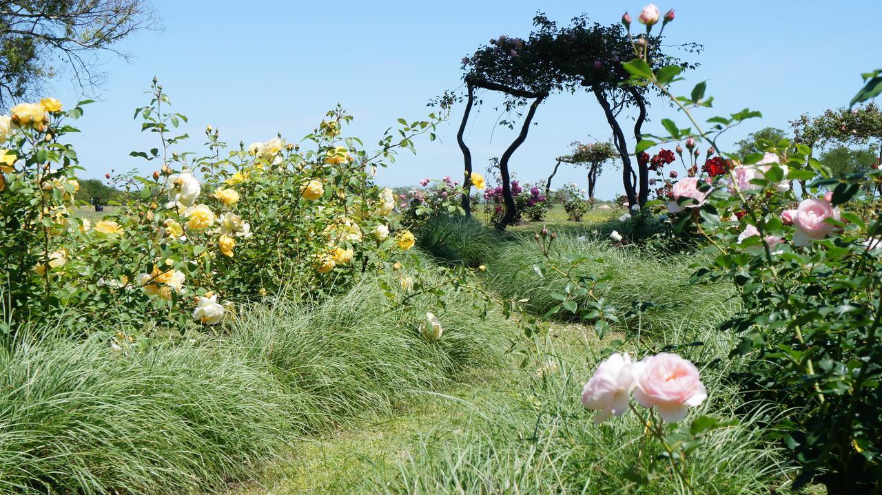 Estancia El Cangue Porvenir ภายนอก รูปภาพ