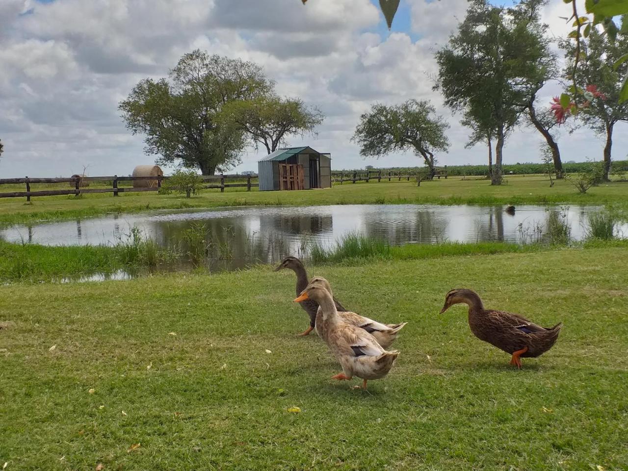 Estancia El Cangue Porvenir ภายนอก รูปภาพ